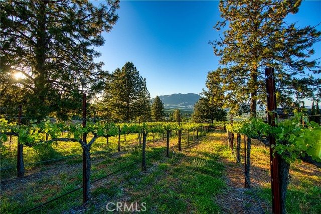 8664 Seigler Springs, Kelseyville