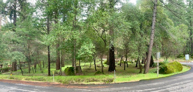 3030 Madrone Drive, Kelseyville