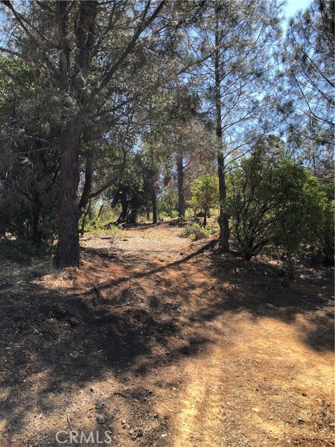 7130 Grande Vista Drive, Kelseyville