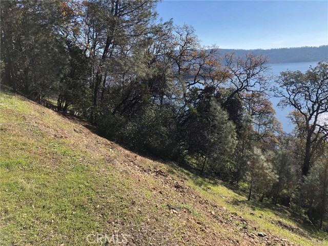 11725 Lakeview Drive, Clearlake Oaks