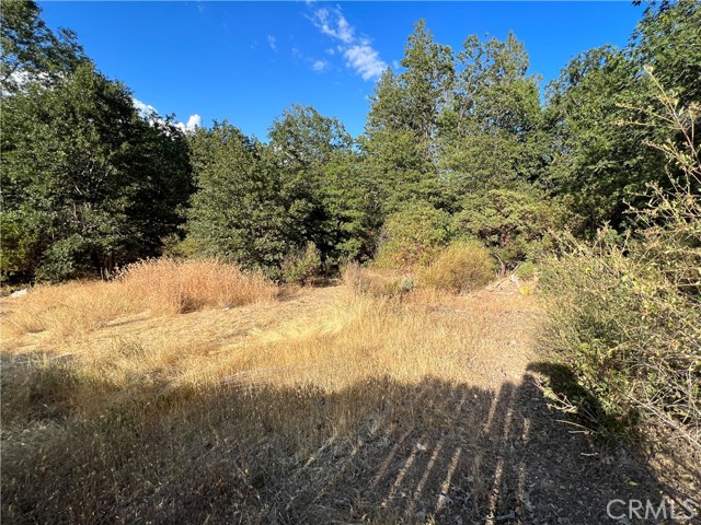 9204 Diamond Dust Trail, Kelseyville