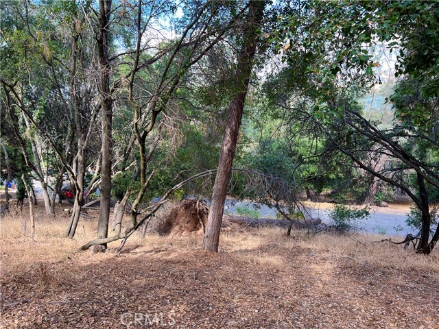 4720 Kah Bel Trail, Kelseyville