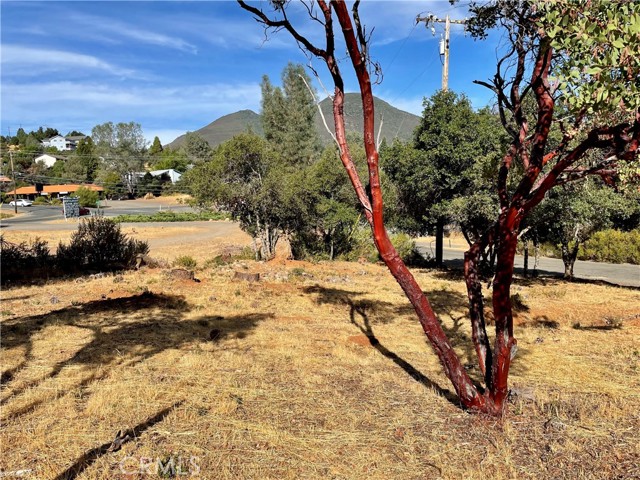 9729 Broadmoor Way, Kelseyville