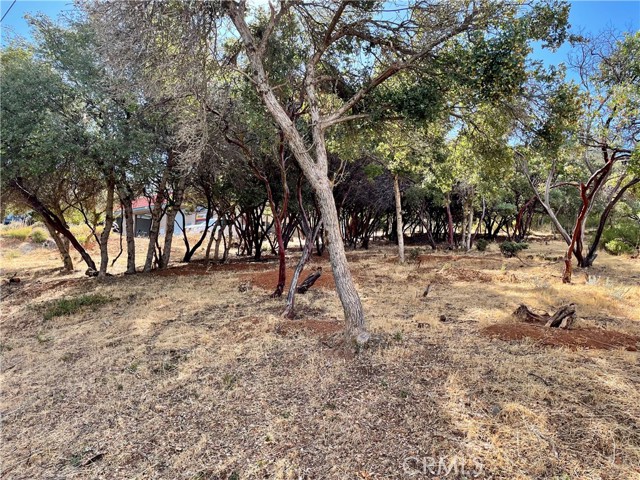 9729 Broadmoor Way, Kelseyville