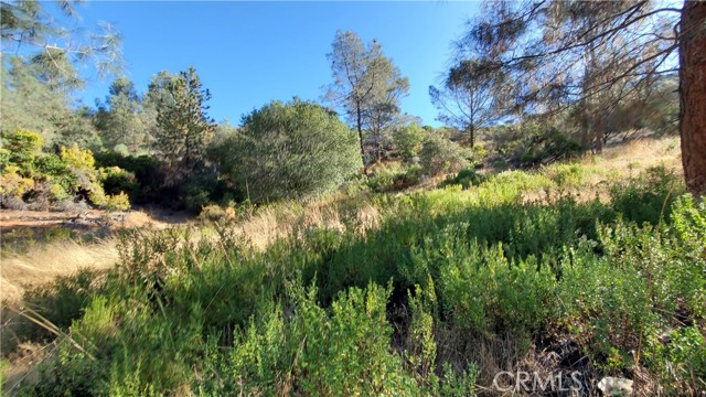 3450 Westridge Circle, Kelseyville