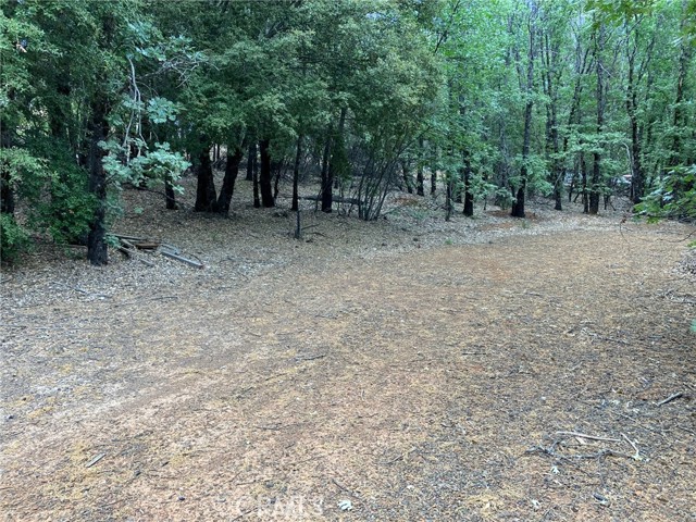 9208 Diamond Dust Trail, Kelseyville