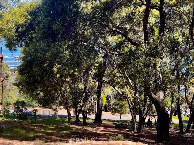 3127 Southlake Drive, Kelseyville