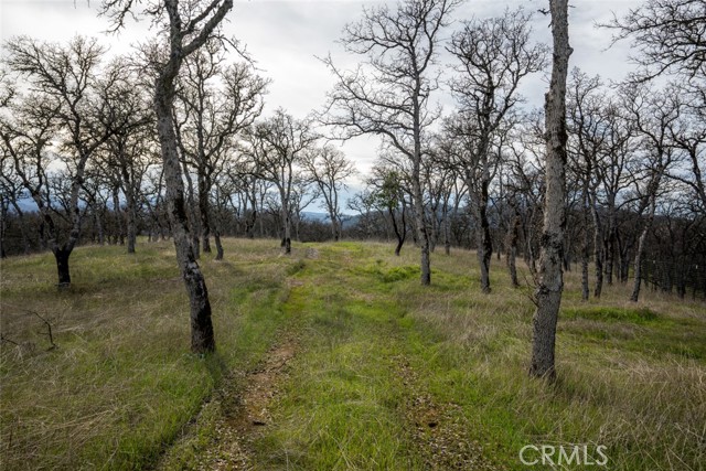 1756 Ogulin Canyon Road, Clearlake