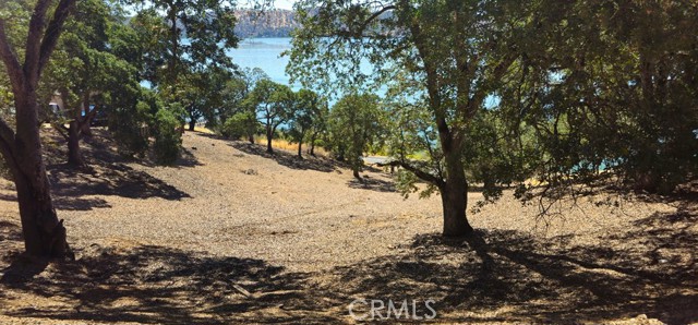 10981 Pingree Road, Clearlake Oaks