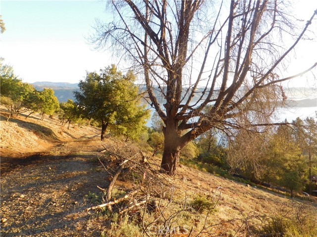 8431 Mountain Crest Drive, Kelseyville