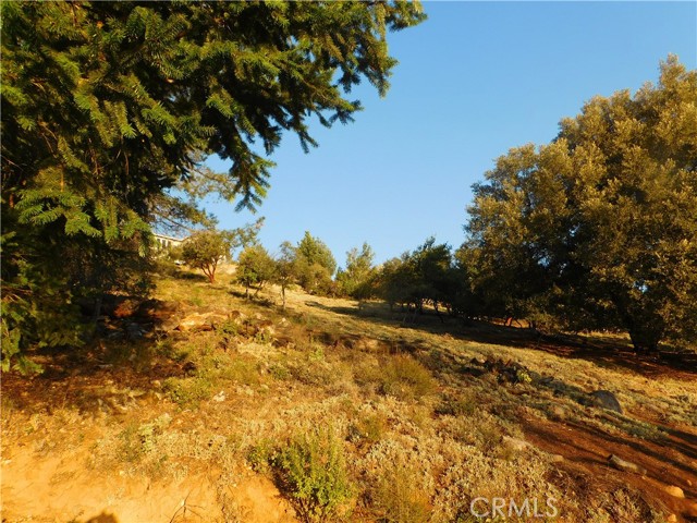 8431 Mountain Crest Drive, Kelseyville