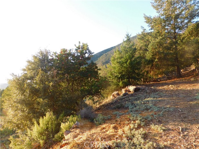 8431 Mountain Crest Drive, Kelseyville