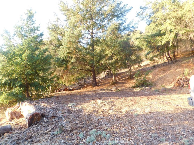 8431 Mountain Crest Drive, Kelseyville