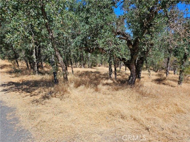 15676 34th Avenue, Clearlake