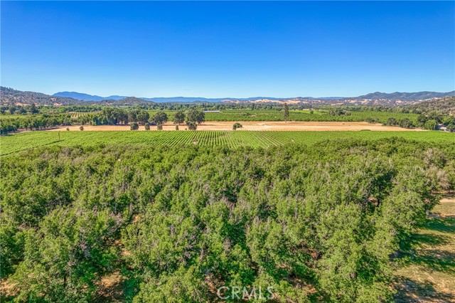 10865 Elk Mountain Road, Upper Lake