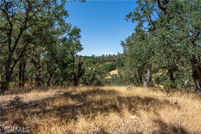 7540 Highway 29, Kelseyville