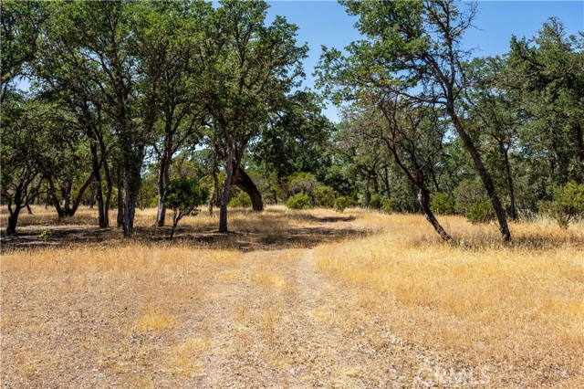 7540 Highway 29, Kelseyville