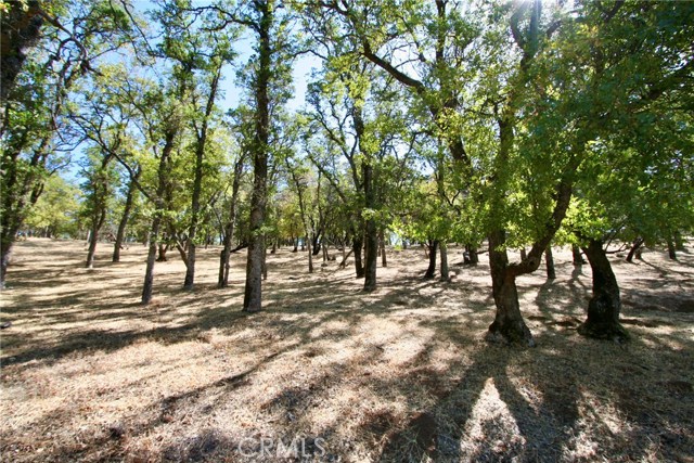 2625 Eastlake Drive, Kelseyville