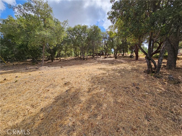 9599 Timberline Court, Kelseyville