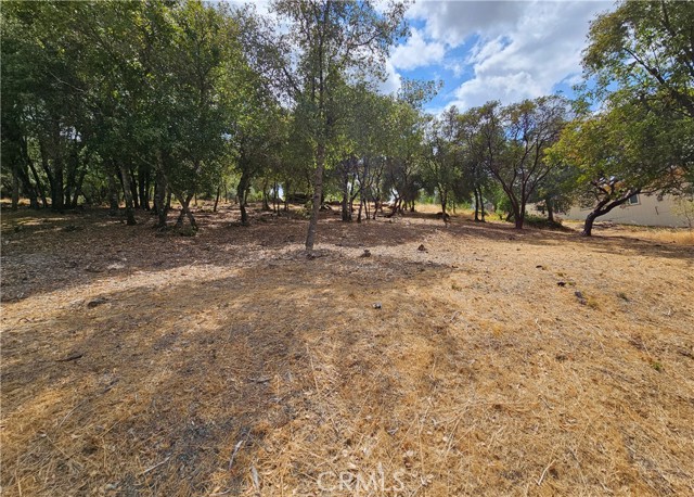 9599 Timberline Court, Kelseyville