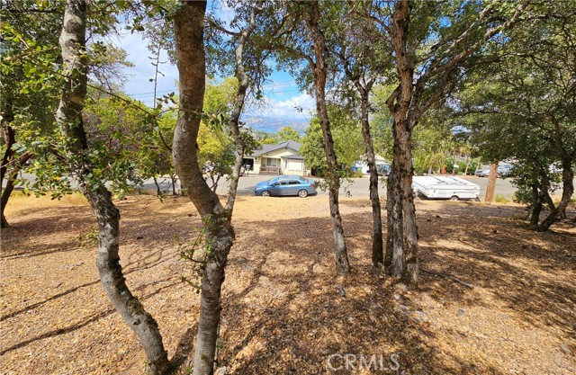 9599 Timberline Court, Kelseyville