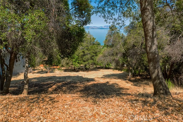 3167 Skyline Drive, Kelseyville