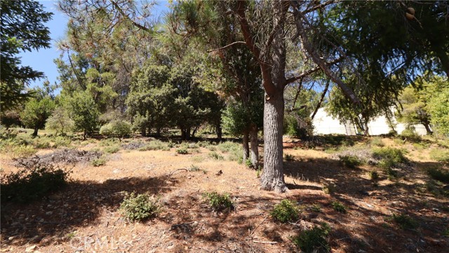 8151 Broadview Drive, Kelseyville