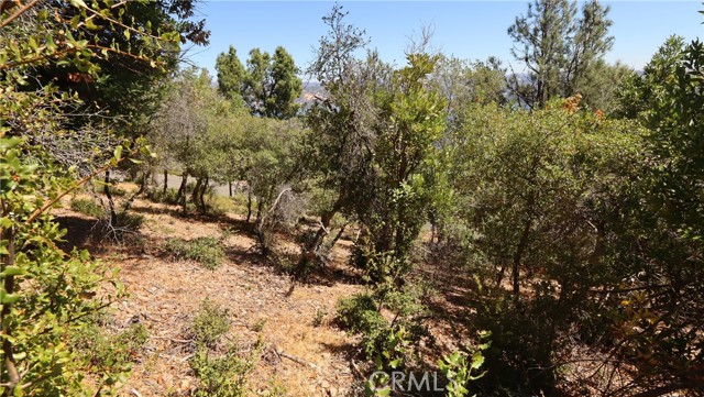 8157 Broadview Drive, Kelseyville