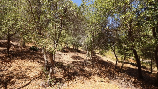 8157 Broadview Drive, Kelseyville