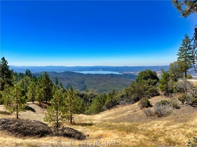 11233 Pitney Ridge Road, Upper Lake