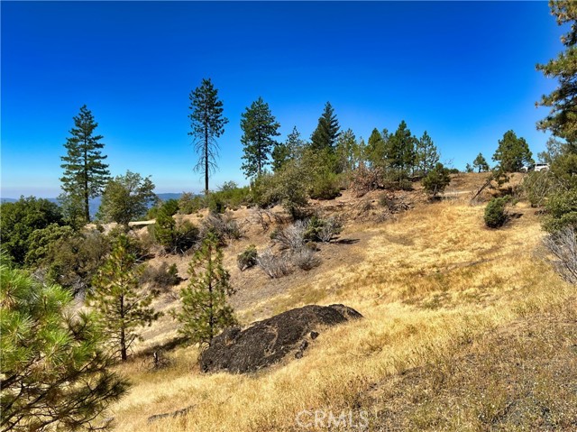 11233 Pitney Ridge Road, Upper Lake