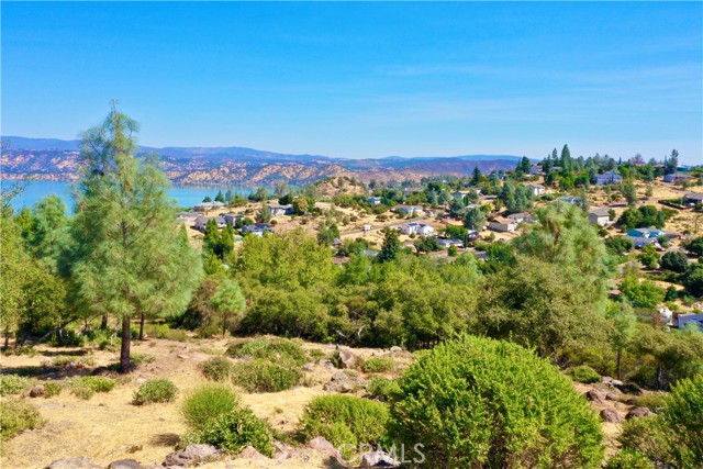 9836 Pinon Way, Kelseyville