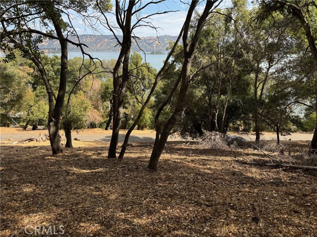 3137 Southlake Drive, Kelseyville