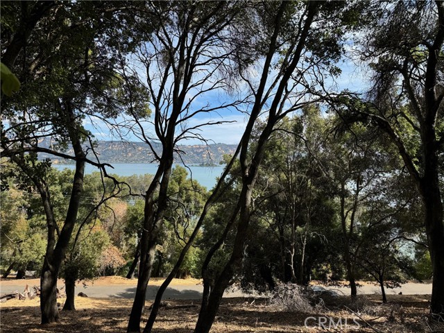 3137 Southlake Drive, Kelseyville