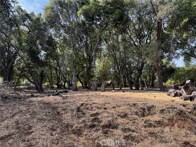 3137 Southlake Drive, Kelseyville