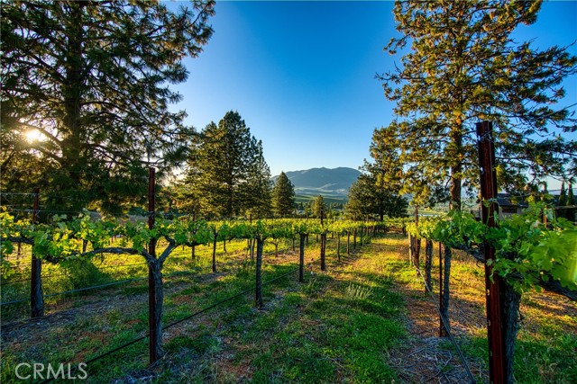 8664 Seigler Springs, Kelseyville