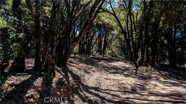 9145 Mombacho Road, Kelseyville