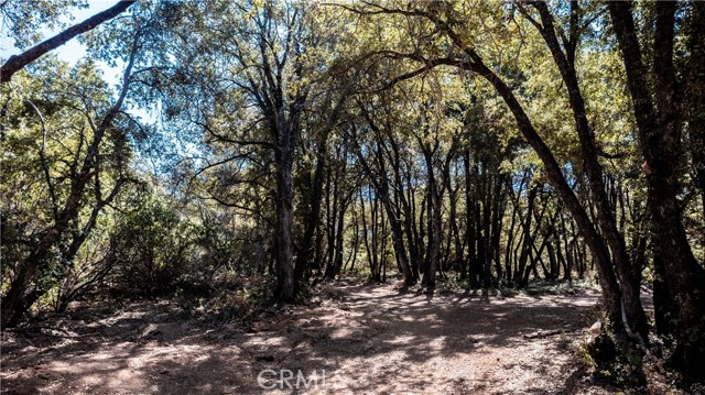 9145 Mombacho Road, Kelseyville