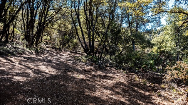 9145 Mombacho Road, Kelseyville