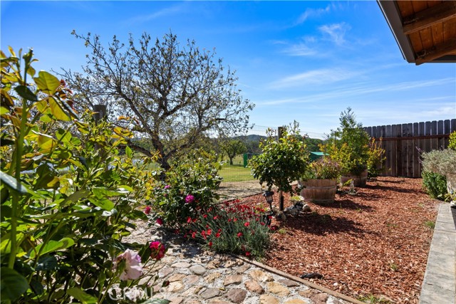 7875 Adobe Creek Road, Kelseyville