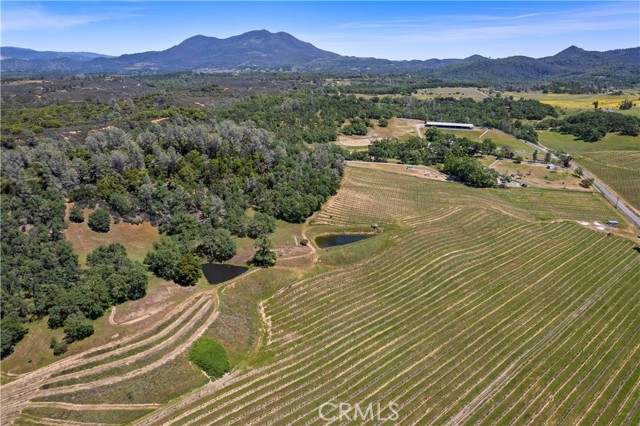 7875 Adobe Creek Road, Kelseyville