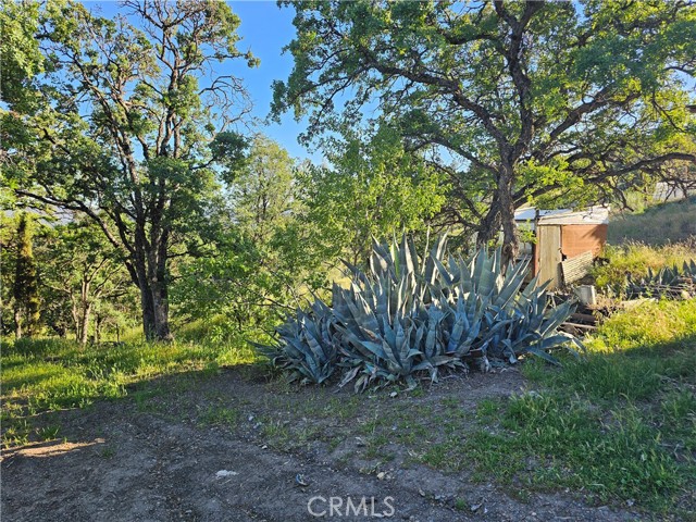 728 Watertrough Road, Clearlake Oaks