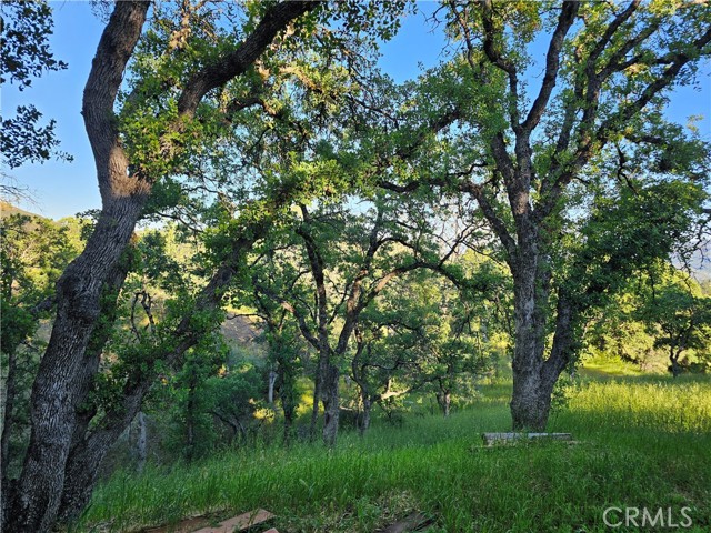 728 Watertrough Road, Clearlake Oaks