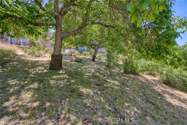 3176 Edgewood Drive, Kelseyville