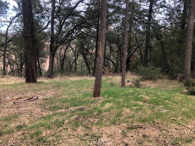 17862 Ponderosa Trail, Lower Lake