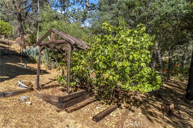 8169 Little Borax Lake, Kelseyville