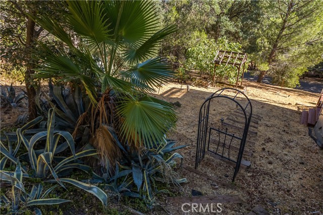 8169 Little Borax Lake, Kelseyville