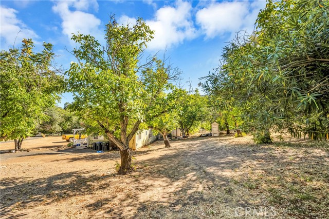 8958 Soda Bay Road, Kelseyville