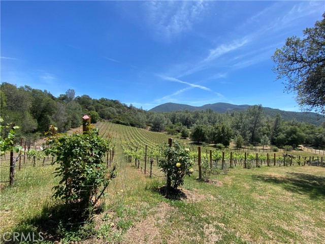 3520 Michelle Drive, Kelseyville